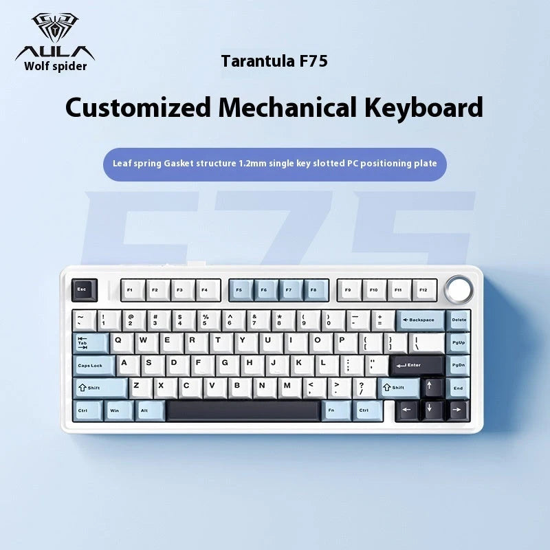 Mechanical Keyboard F75